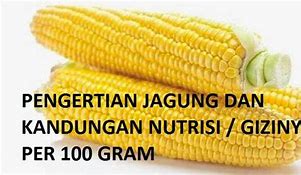 Satu Jagung Berapa Gram